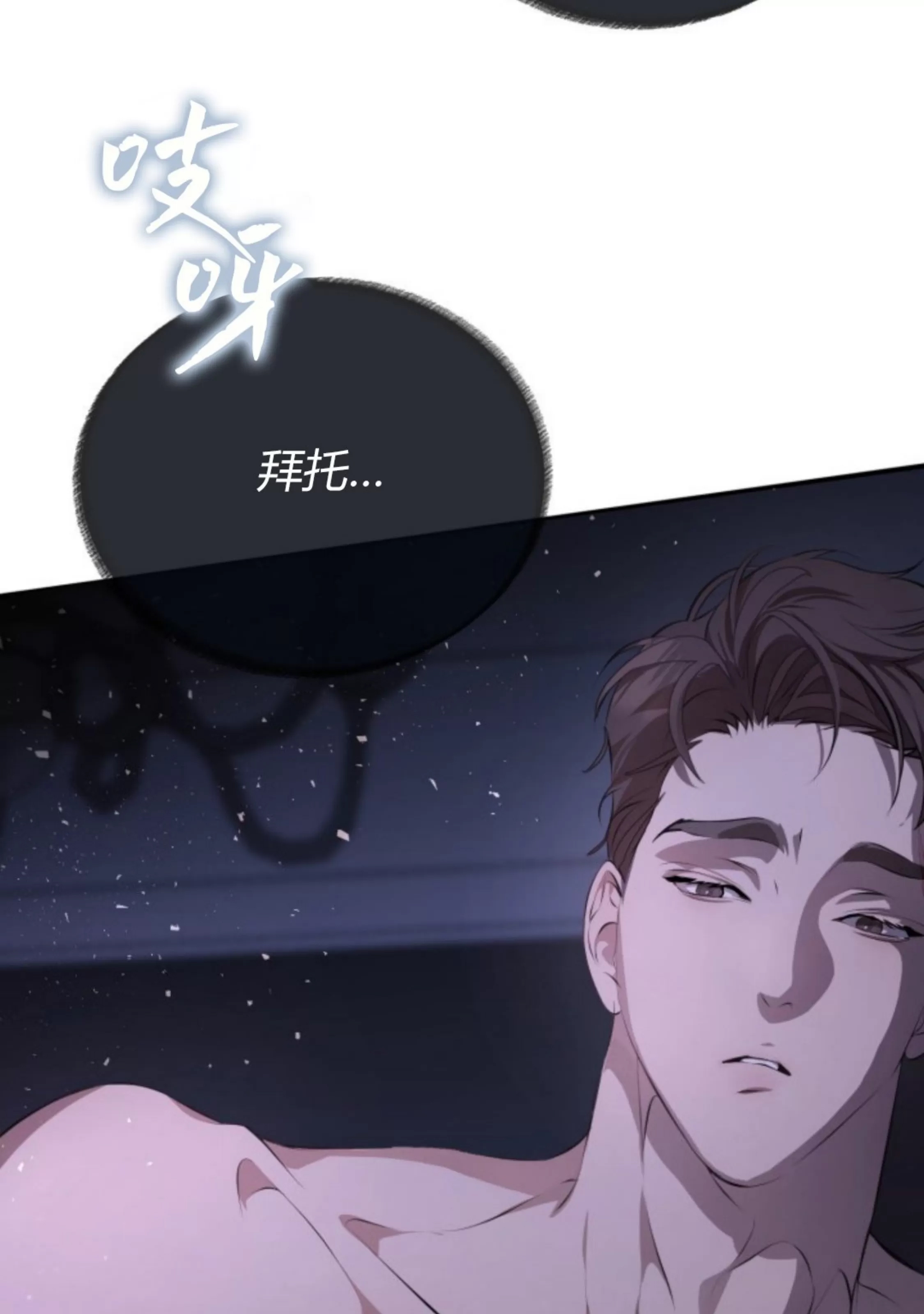 第 106 页