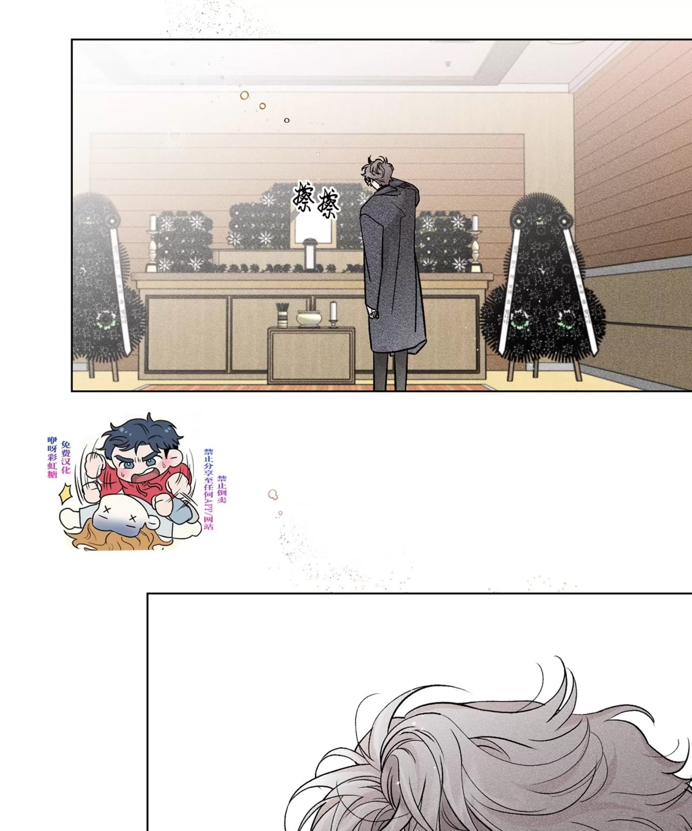 第 46 页