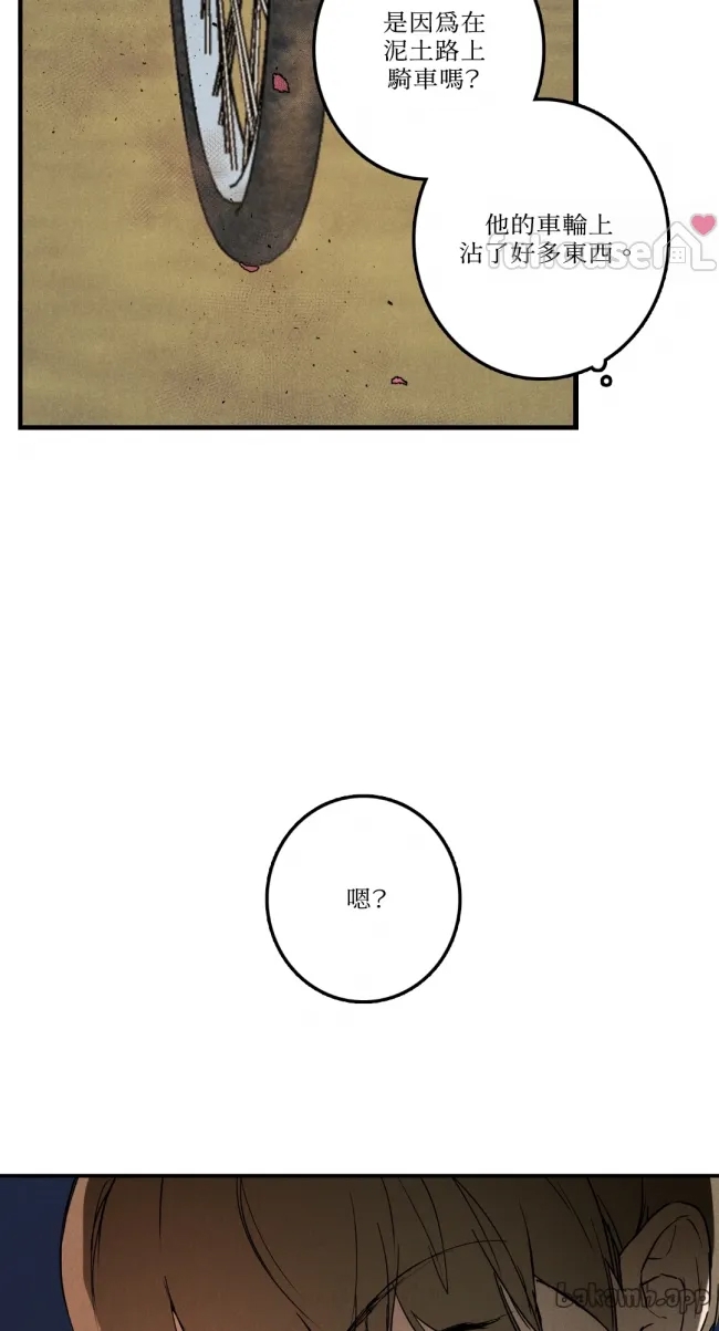 第 61 页