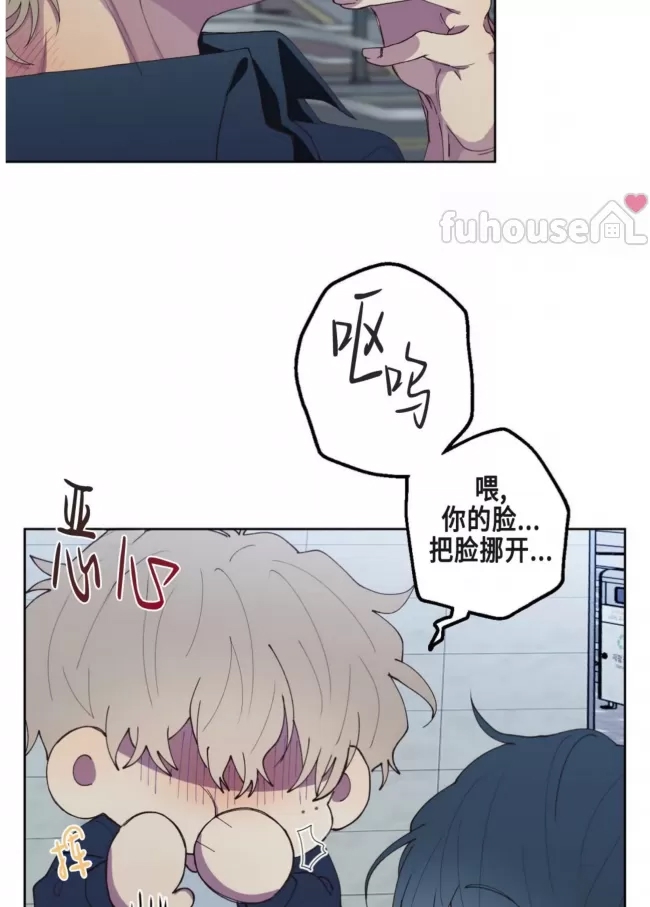 第 41 页