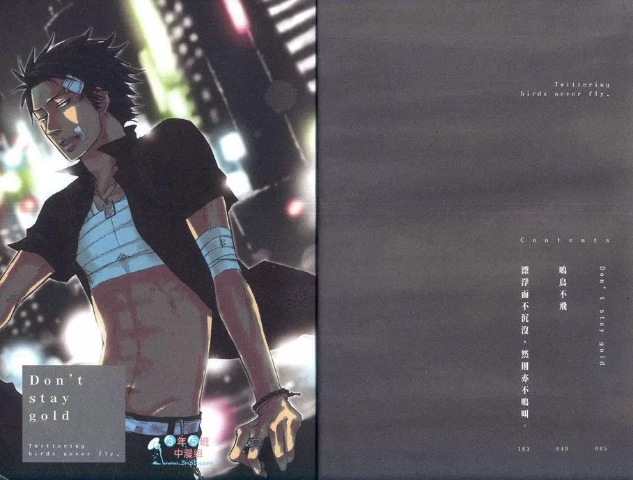 第 3 页