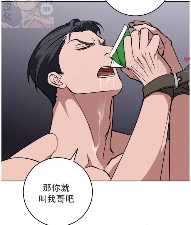 第 85 页