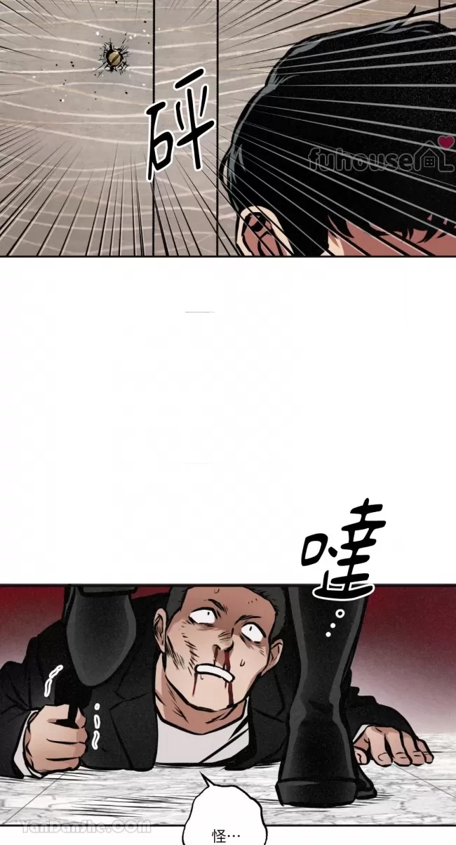 第 48 页