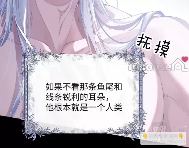 第 81 页