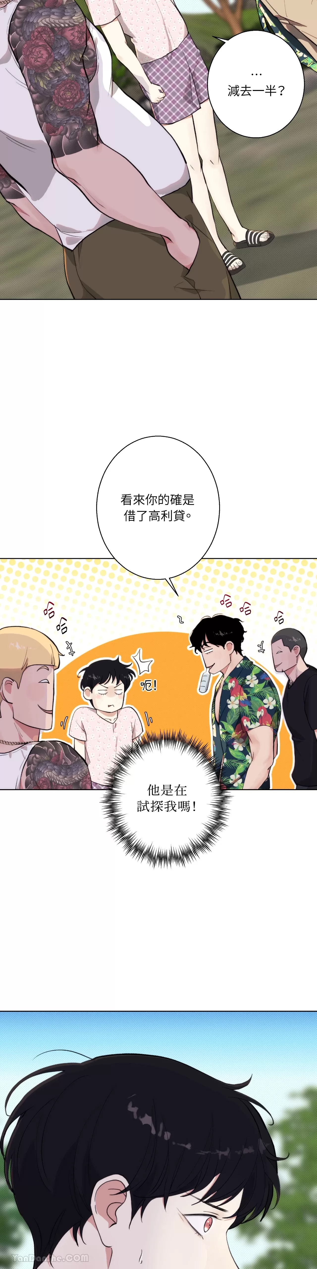 第 31 页