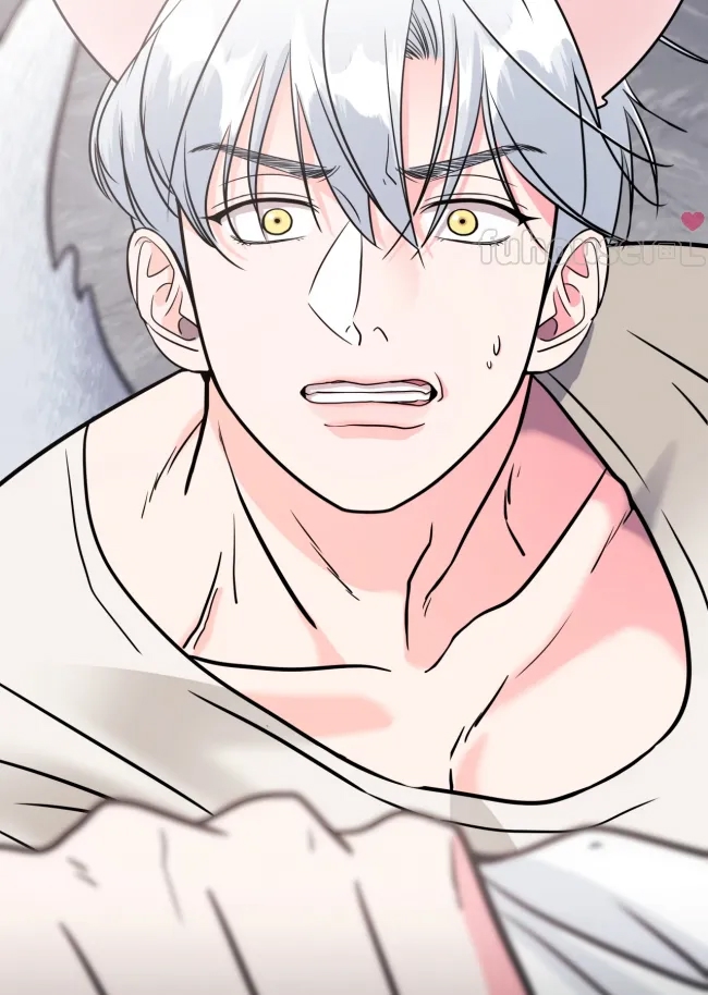 第 78 页