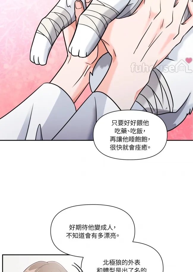 第 62 页