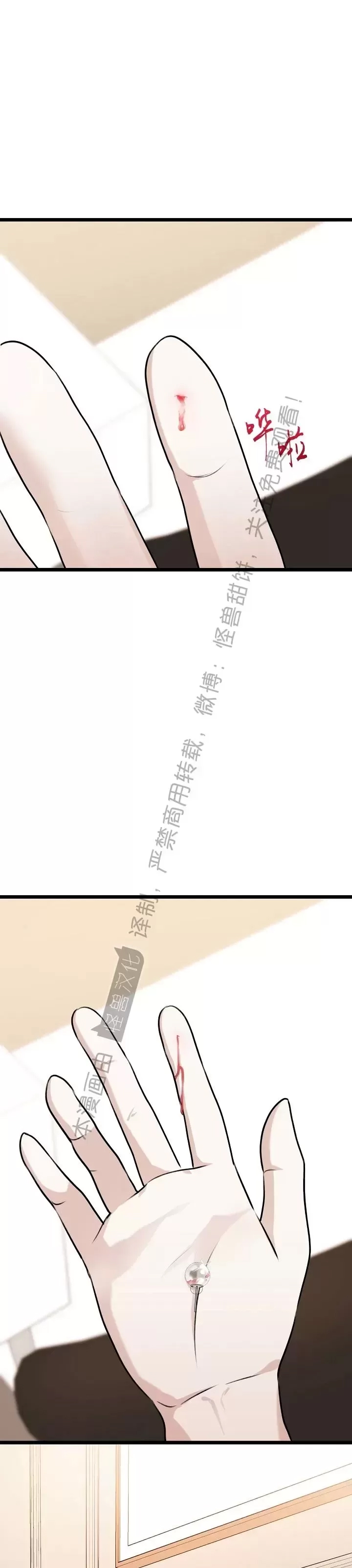 第 51 页