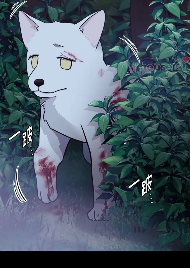 第 35 页