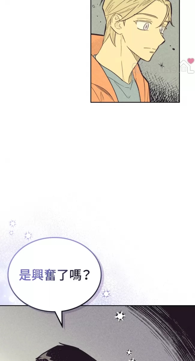 第 53 页