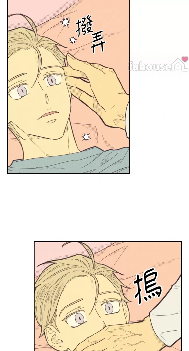 第 46 页