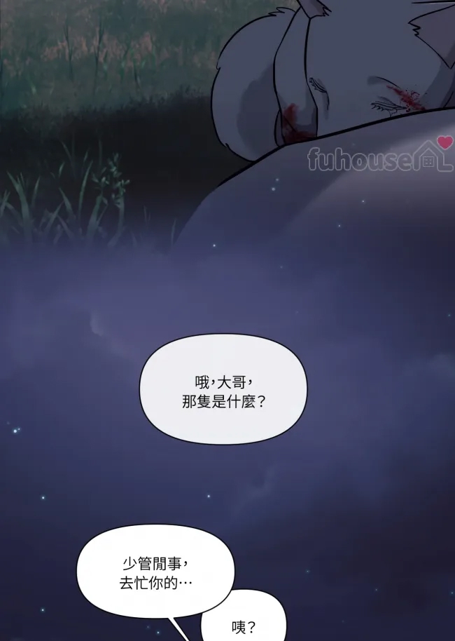 第 42 页