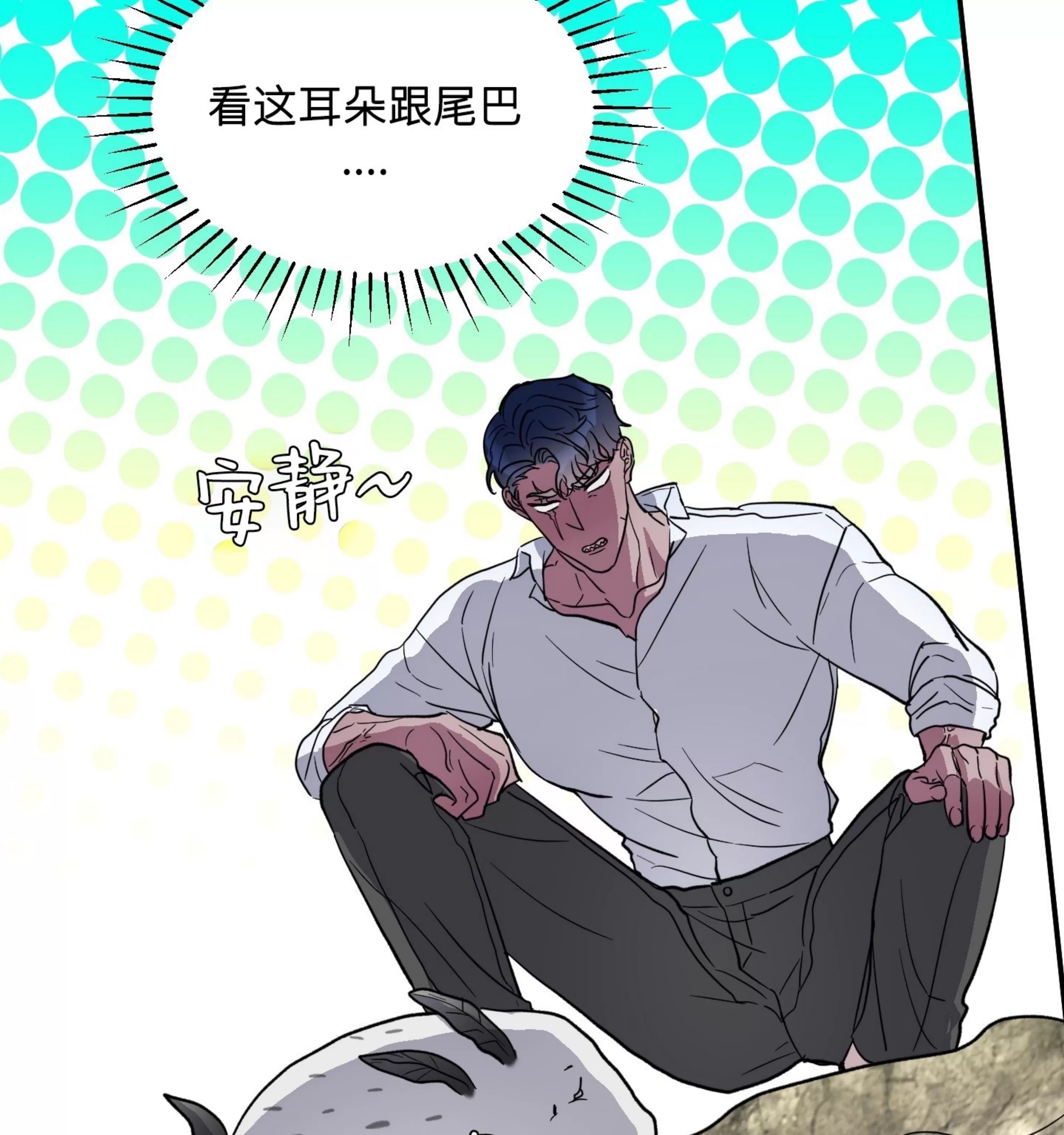 第 72 页