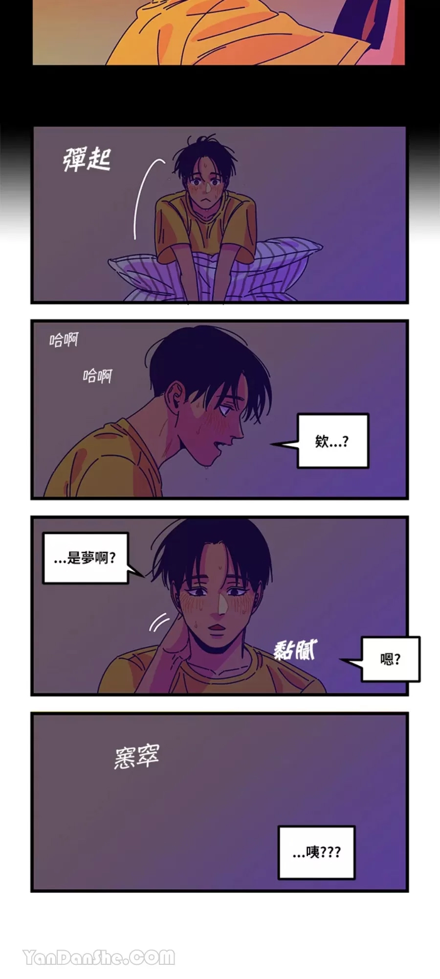 第 3 页