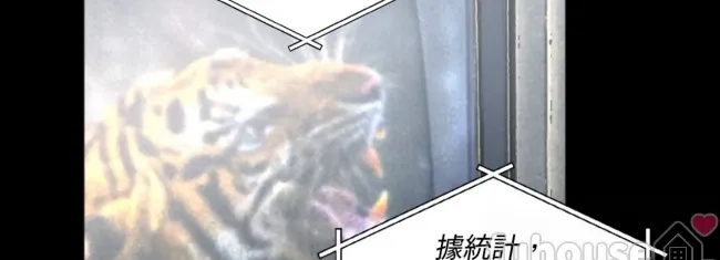 第 86 页