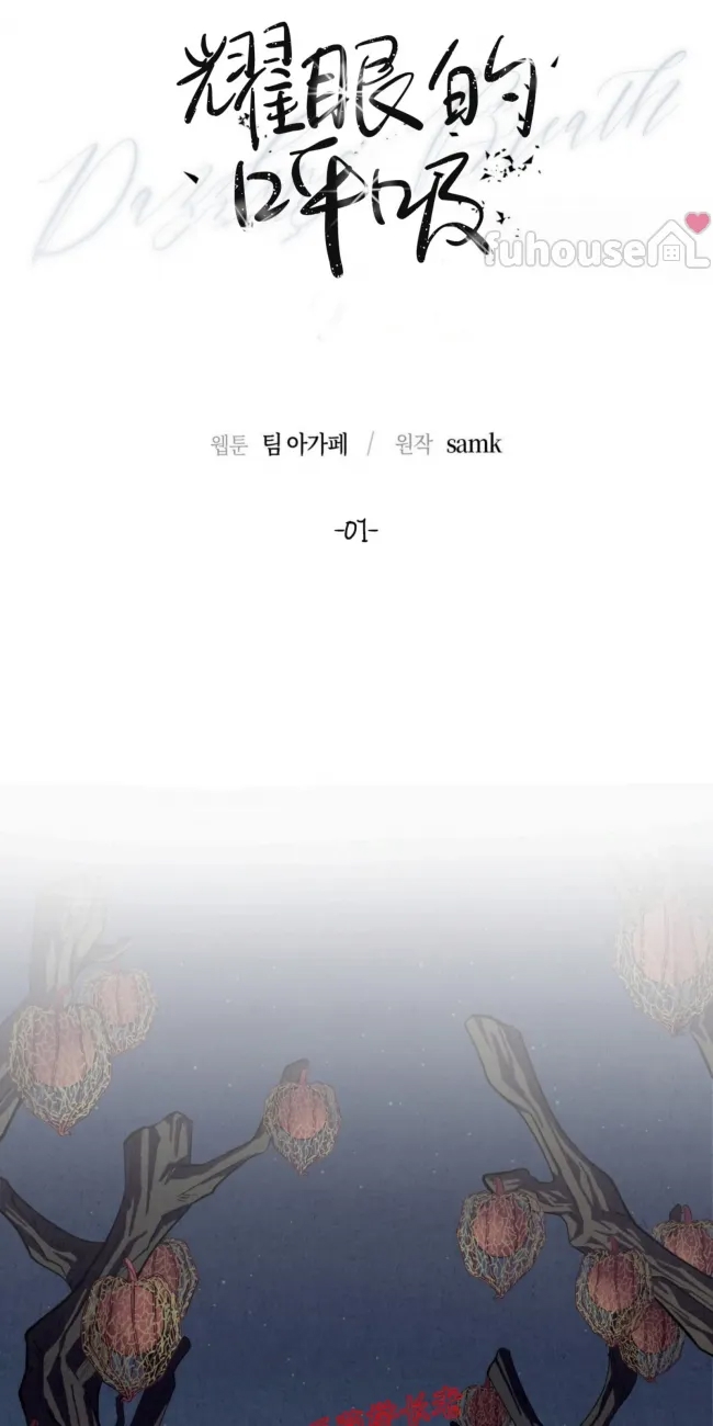 第 39 页