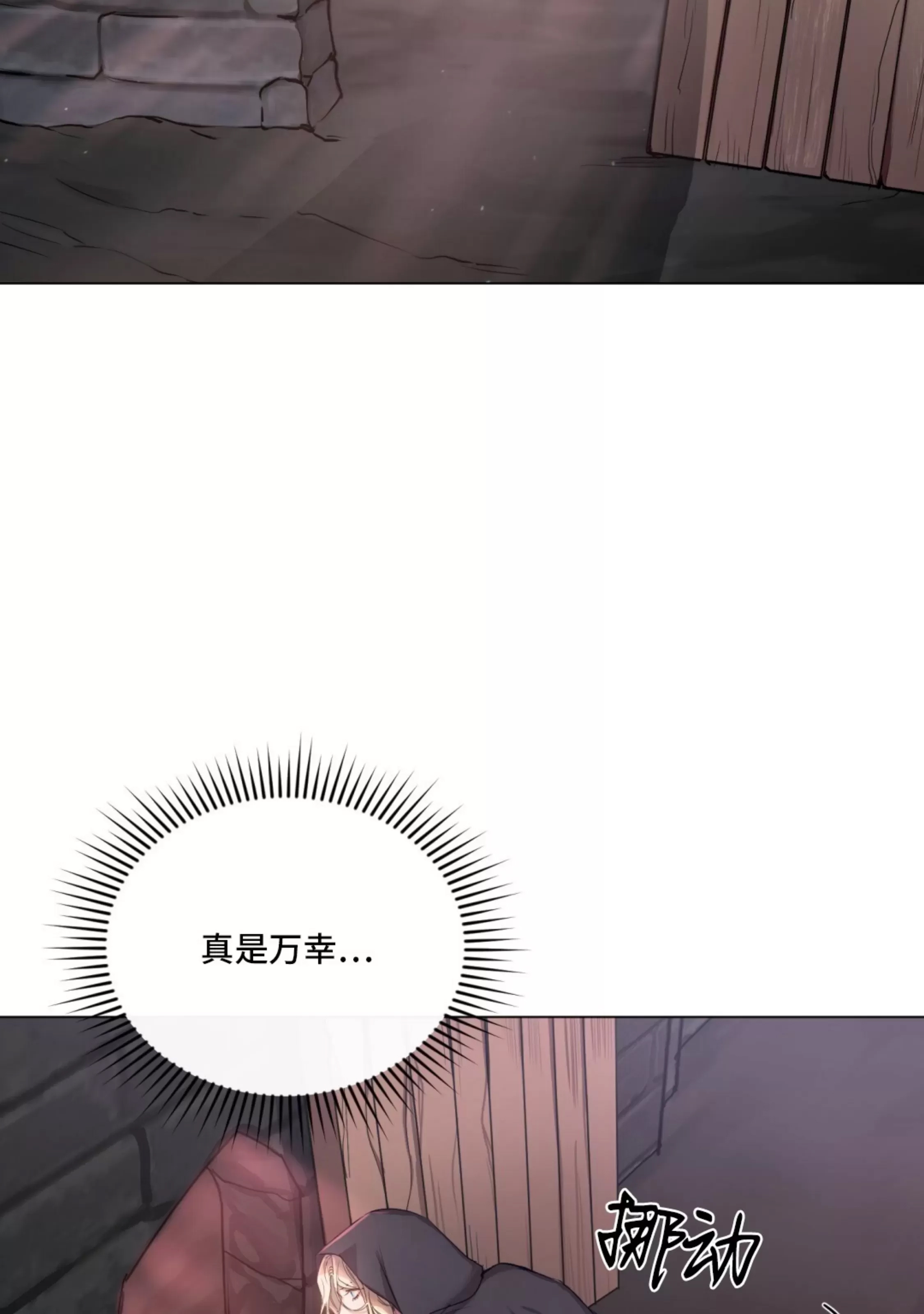 第 91 页