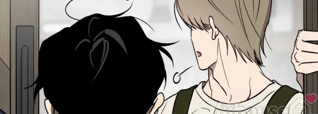 第 146 页