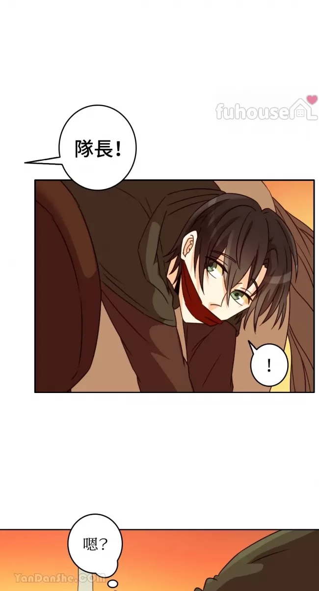 第 50 页