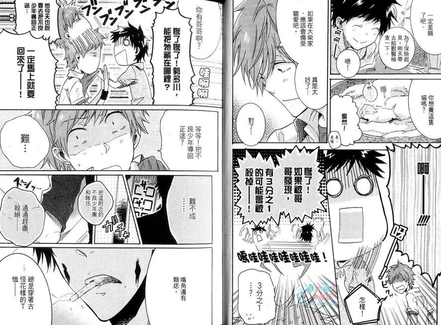 第 11 页