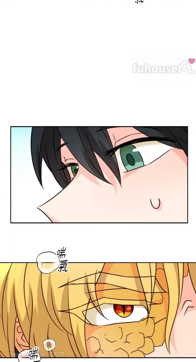 第 51 页
