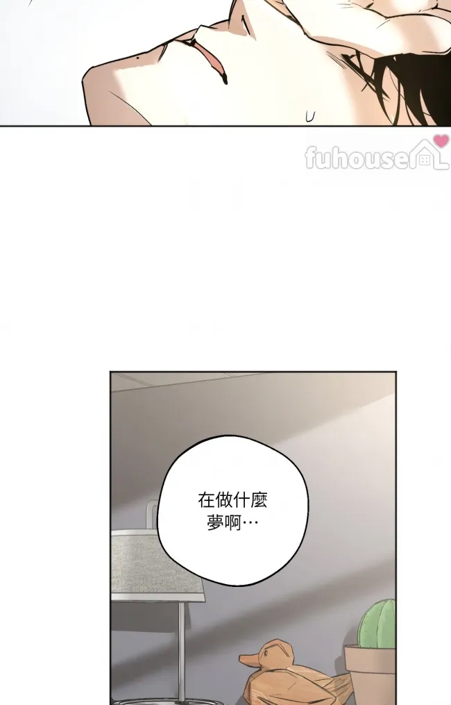 第 48 页