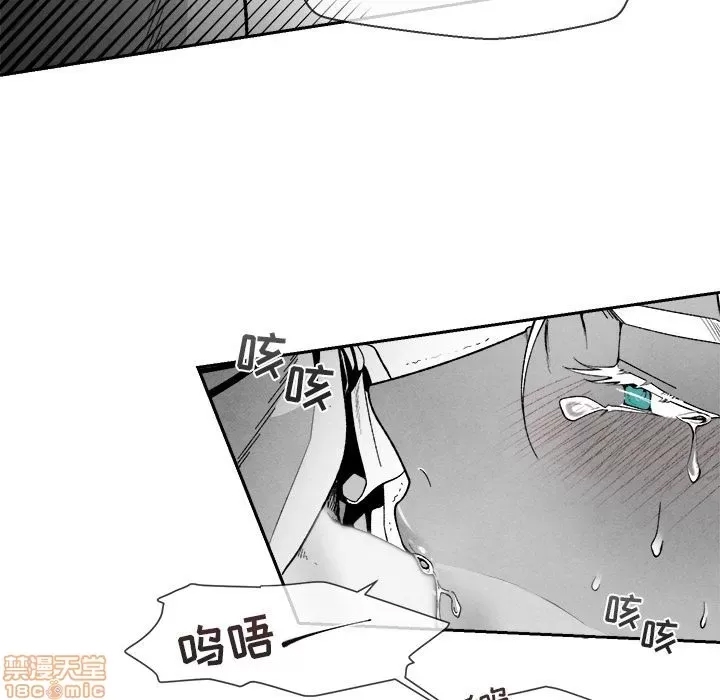 第 81 页