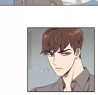 第 81 页