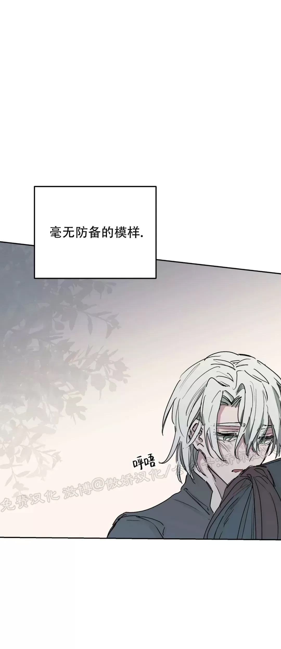 第 41 页