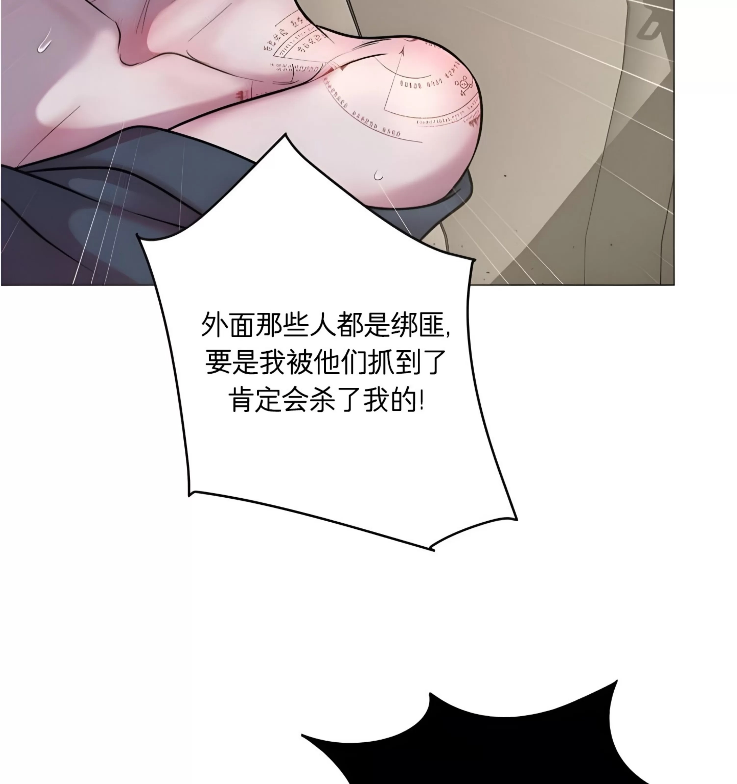 第 102 页
