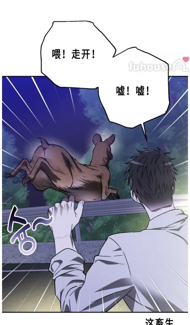 第 75 页