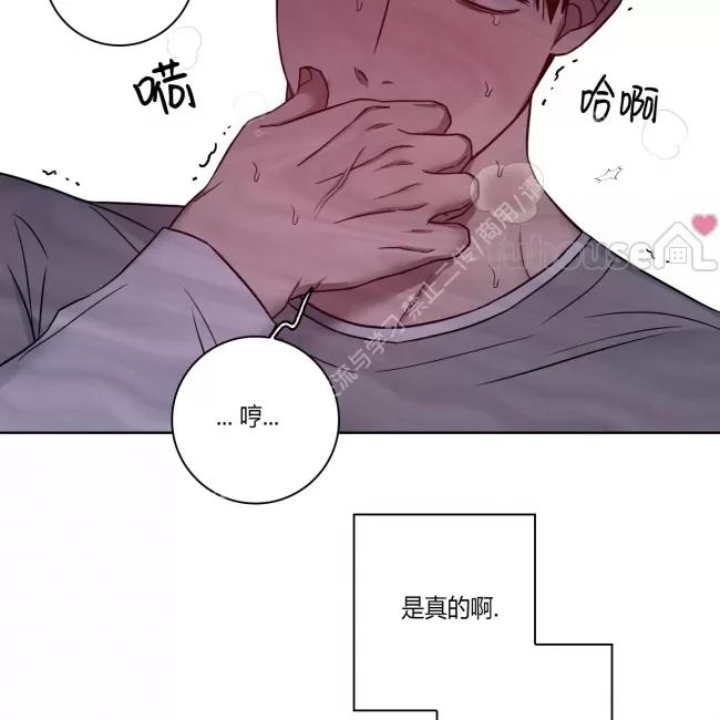 第 98 页