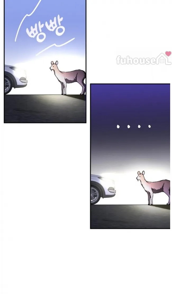 第 74 页