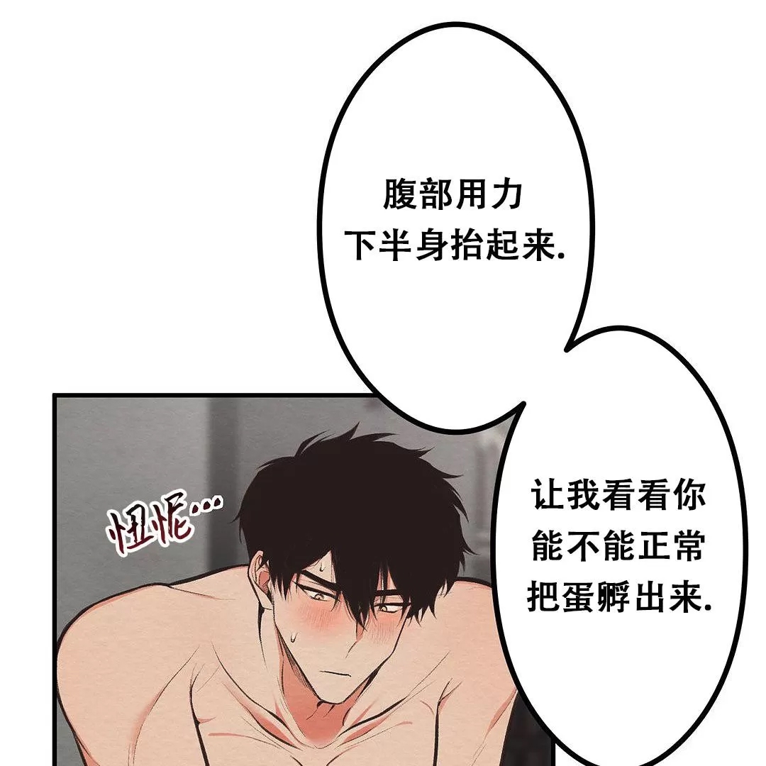 第 71 页