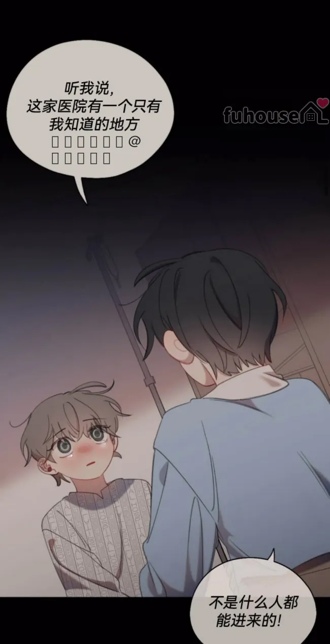 第 51 页