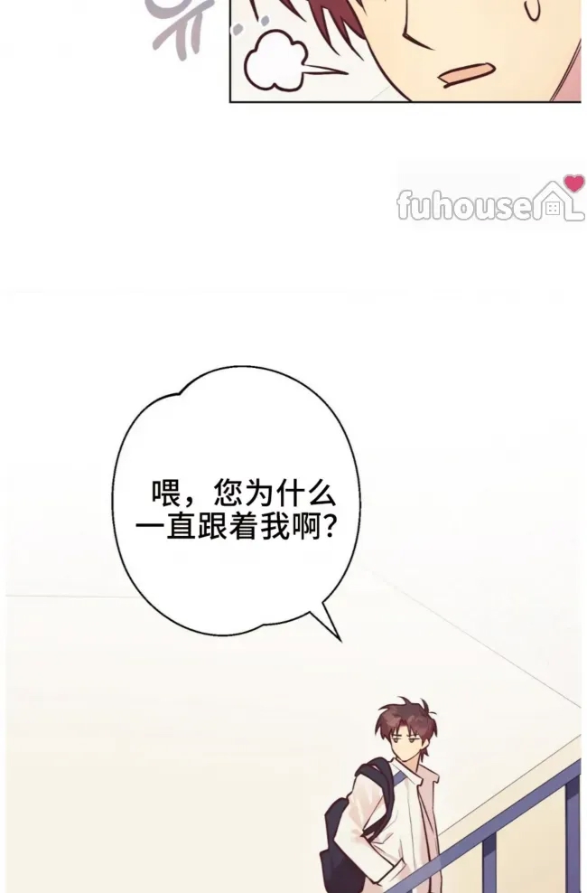 第 50 页
