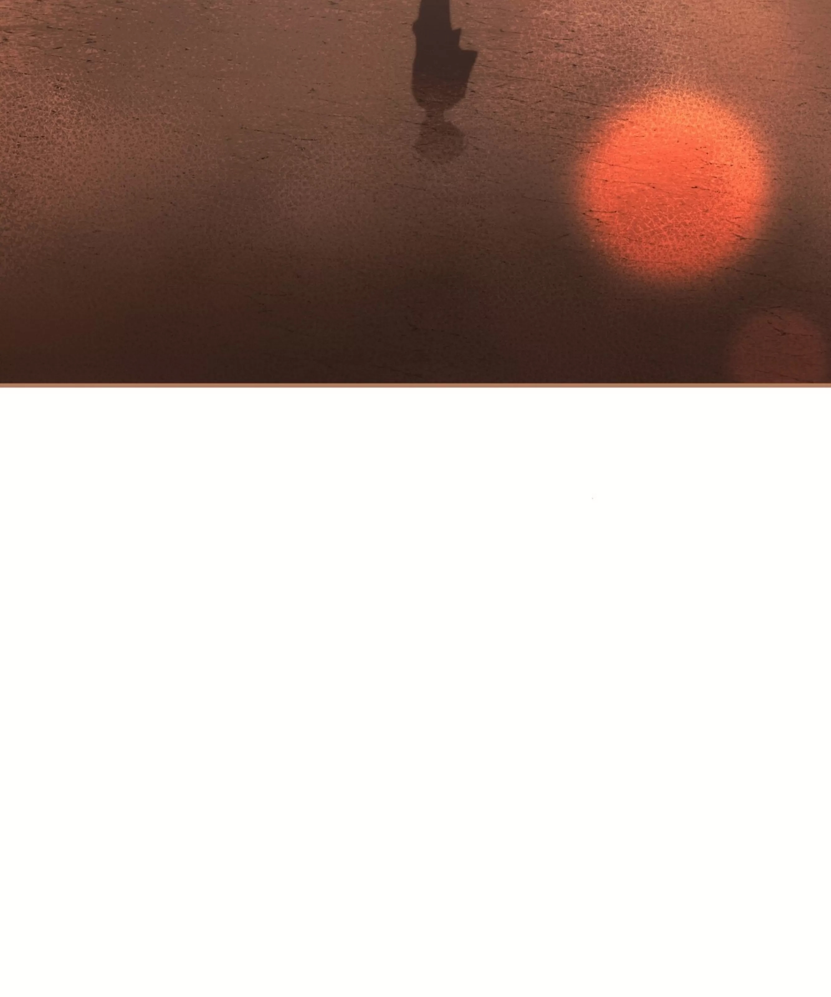 第 88 页