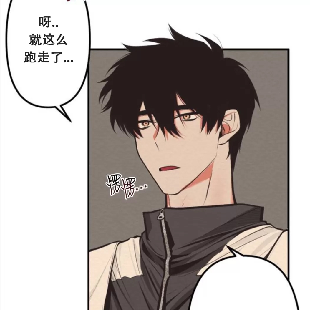 第 74 页