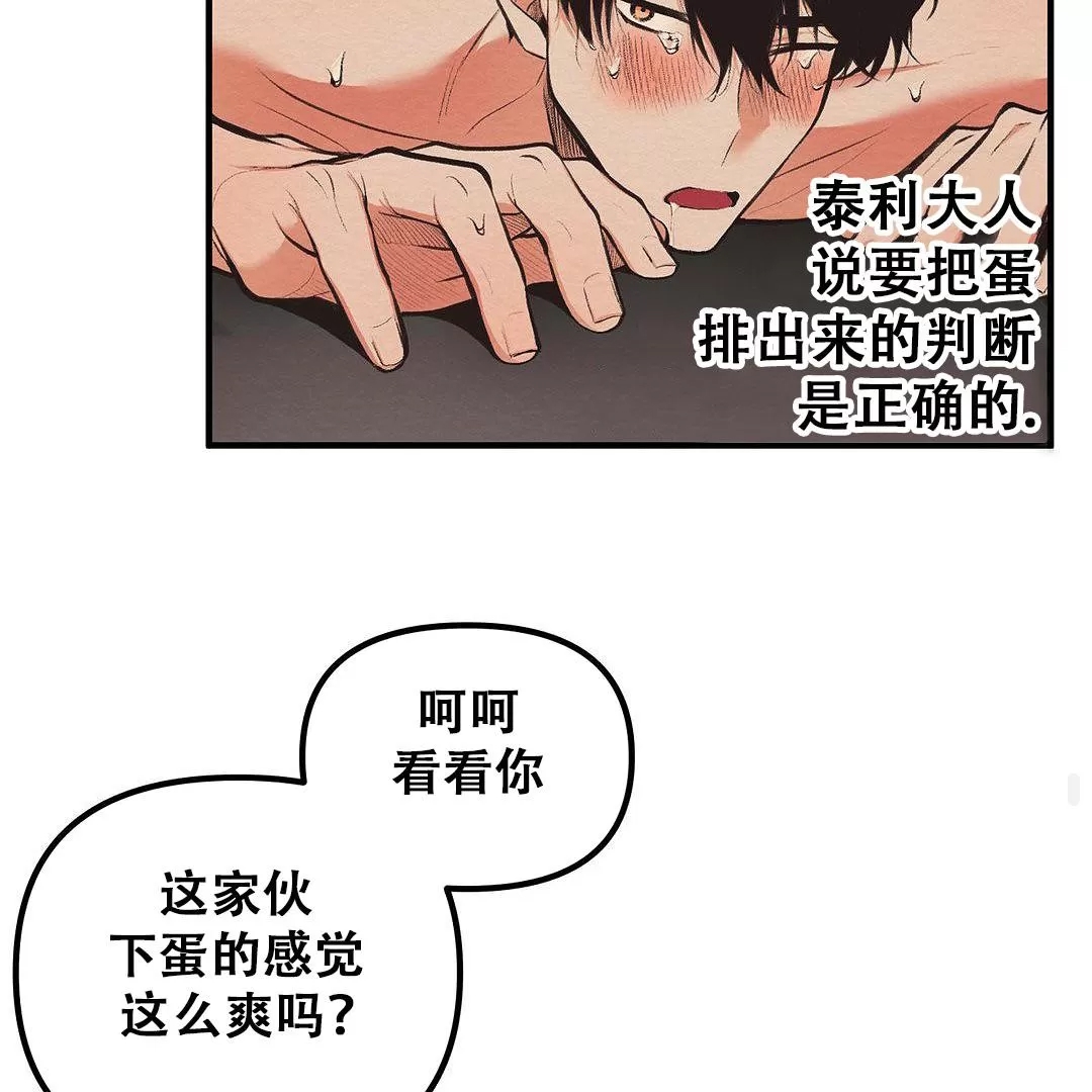 第 107 页