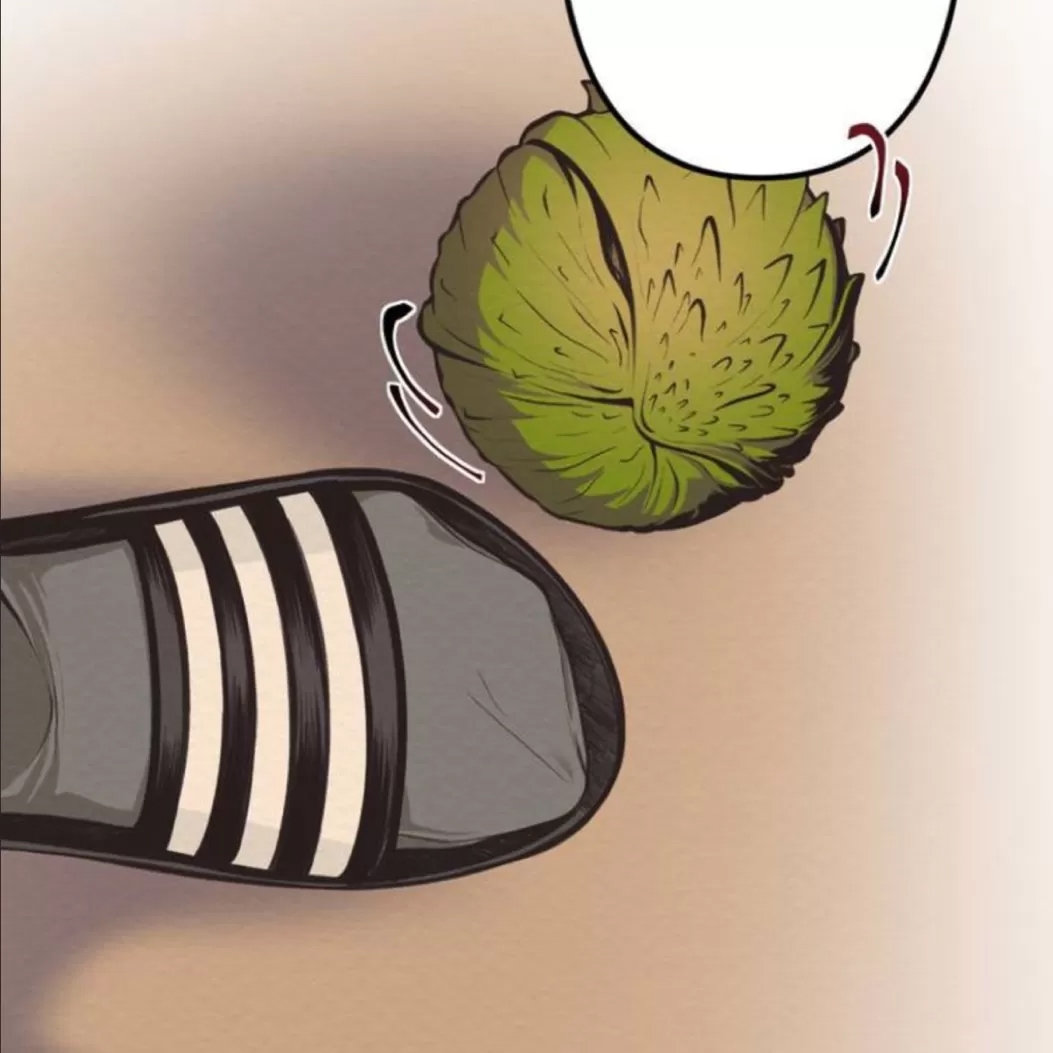 第 62 页