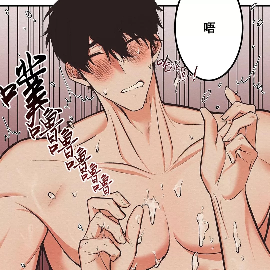 第 97 页