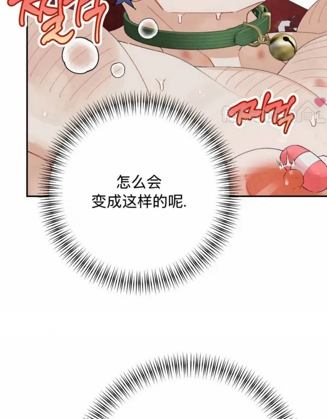 第 116 页