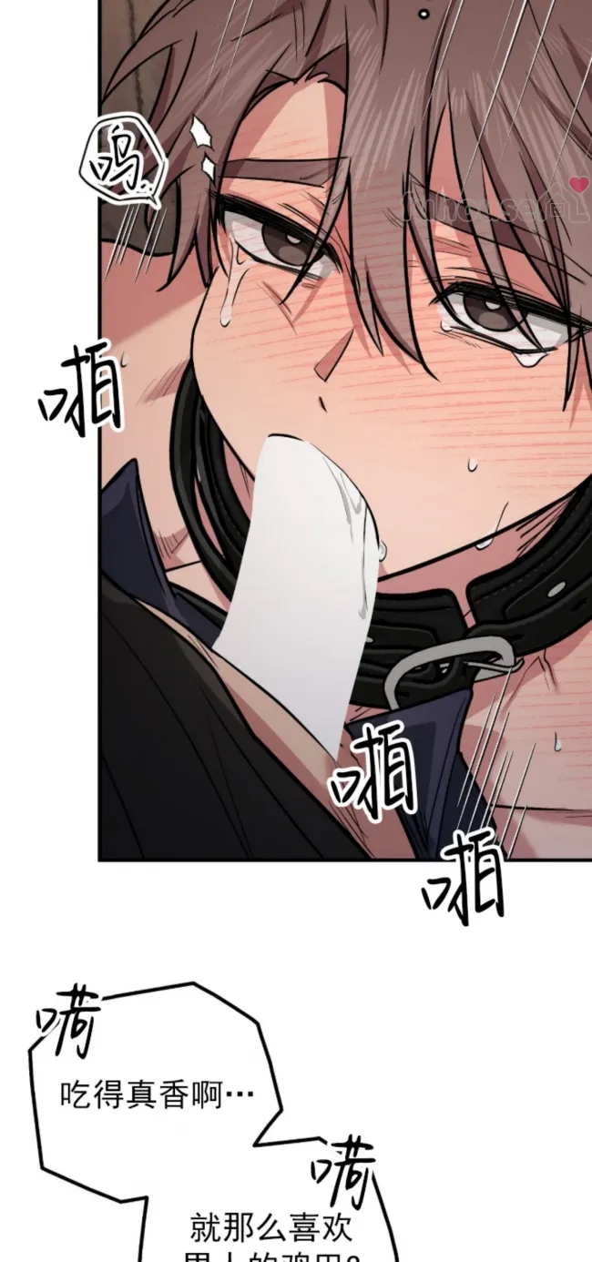 第 47 页
