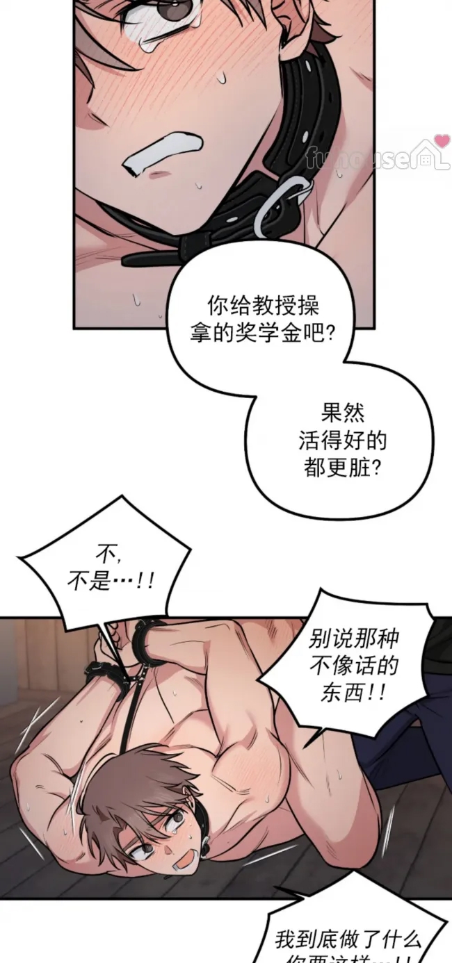 第 43 页