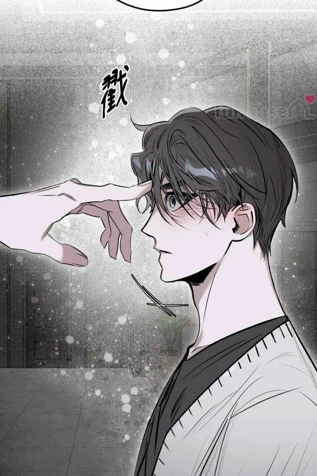 第 48 页