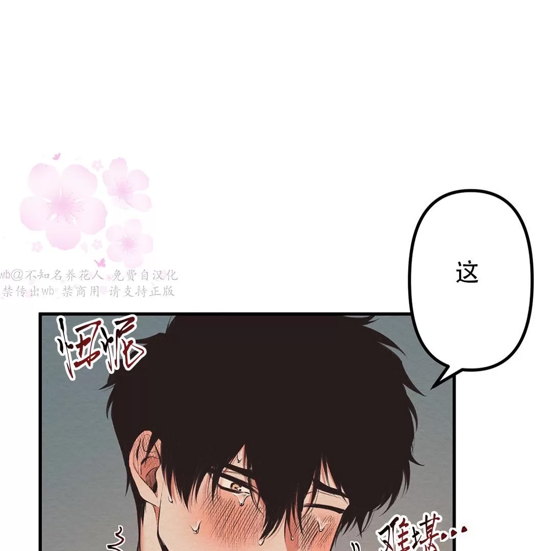 第 85 页