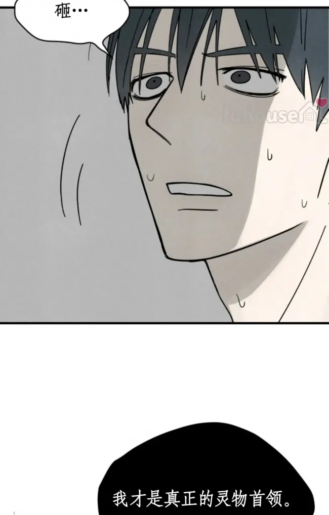 第 88 页
