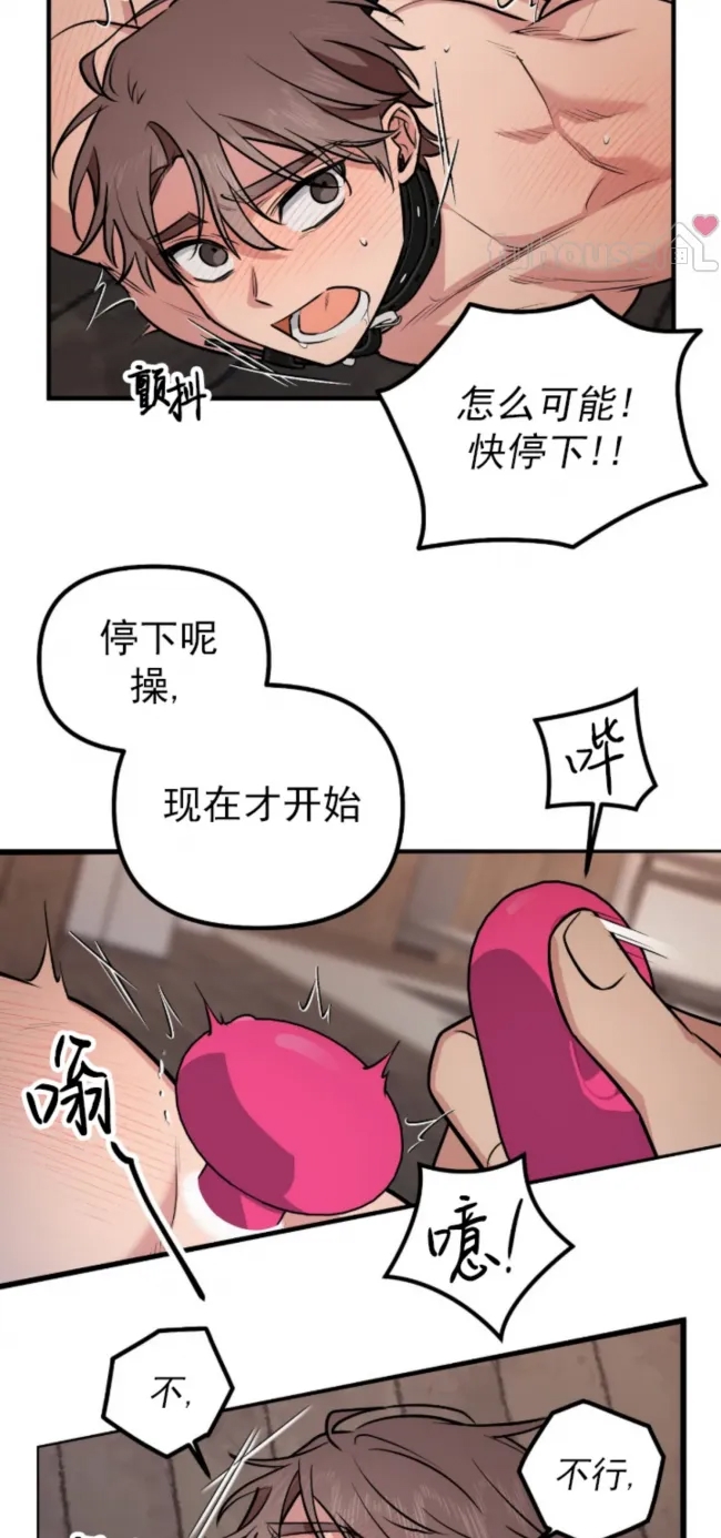 第 37 页