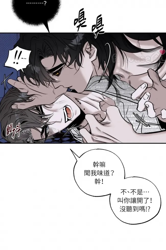 第 52 页