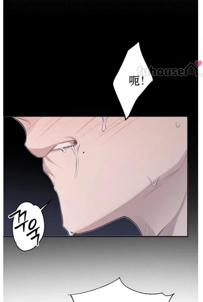 第 97 页